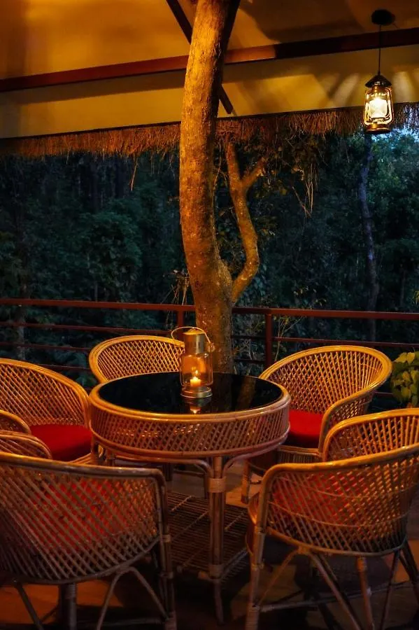 אתר נופש מלון מאננטהוואדי Coffee Cradle Wayanad Luxuorios Private Tree House - Inside 2 Acre Coffee Plantation