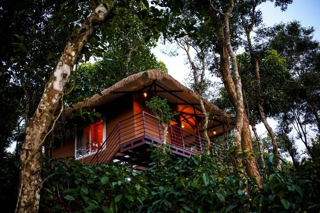 מלון מאננטהוואדי Coffee Cradle Wayanad Luxuorios Private Tree House - Inside 2 Acre Coffee Plantation