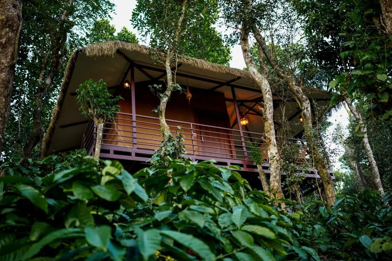 מלון מאננטהוואדי Coffee Cradle Wayanad Luxuorios Private Tree House - Inside 2 Acre Coffee Plantation הודו