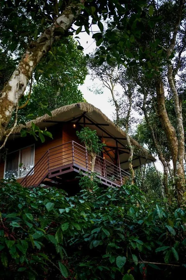 אתר נופש מלון מאננטהוואדי Coffee Cradle Wayanad Luxuorios Private Tree House - Inside 2 Acre Coffee Plantation