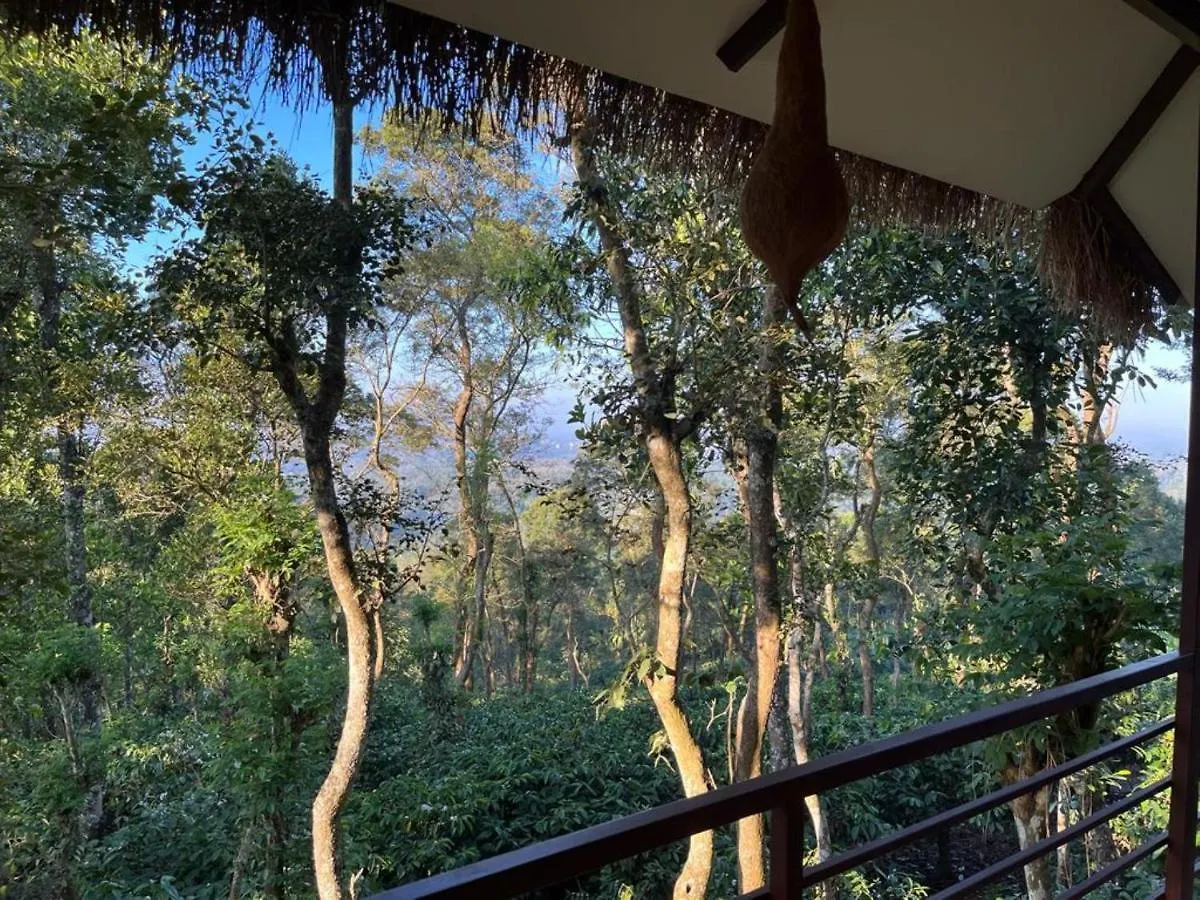 מלון מאננטהוואדי Coffee Cradle Wayanad Luxuorios Private Tree House - Inside 2 Acre Coffee Plantation