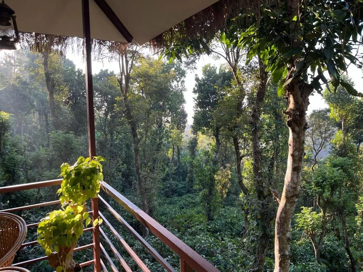 אתר נופש מלון מאננטהוואדי Coffee Cradle Wayanad Luxuorios Private Tree House - Inside 2 Acre Coffee Plantation