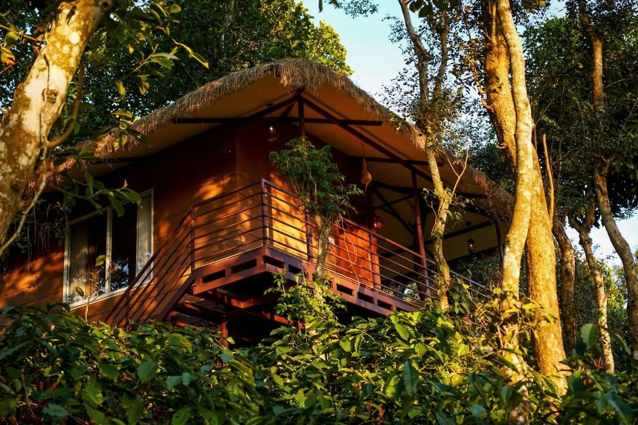 מלון מאננטהוואדי Coffee Cradle Wayanad Luxuorios Private Tree House - Inside 2 Acre Coffee Plantation