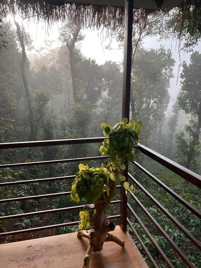 מלון מאננטהוואדי Coffee Cradle Wayanad Luxuorios Private Tree House - Inside 2 Acre Coffee Plantation אתר נופש