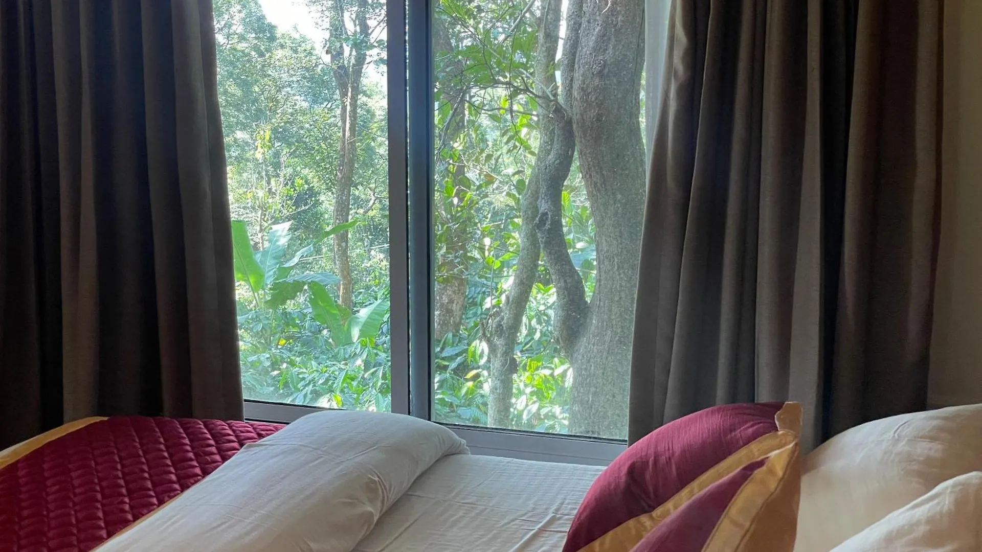 מלון מאננטהוואדי Coffee Cradle Wayanad Luxuorios Private Tree House - Inside 2 Acre Coffee Plantation