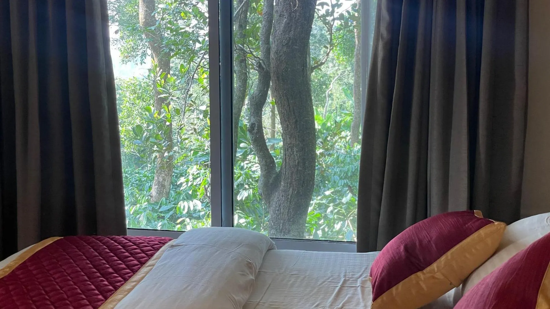 אתר נופש מלון מאננטהוואדי Coffee Cradle Wayanad Luxuorios Private Tree House - Inside 2 Acre Coffee Plantation